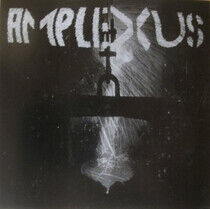 Amplexus - Necessarry Intercourses
