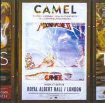 Camel - At the Royal Albert Hall