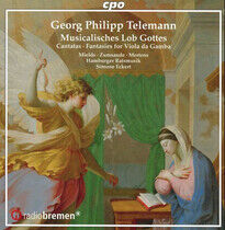 Mields, Dorothee/Hamburge - Cantatas: Musicalisches..