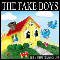 Fake Boys - This is Where Our Songs