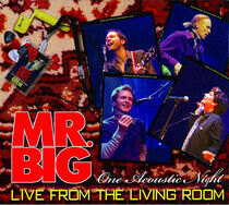 Mr. Big - Live From the Living Room