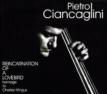 Ciancaglini, Pietro - Reincarnation of A..