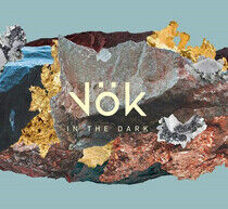 V k - In the Dark - CD