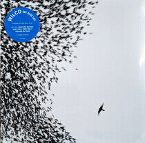 Wilco - Sky Blue Sky - LP VINYL