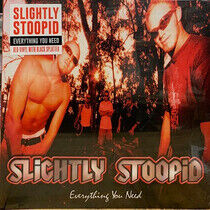 Slightly Stoopid - Everything You Need - LP VINYL