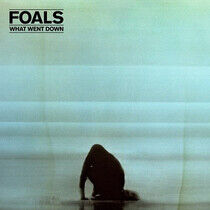 Foals - What Went Down - LP VINYL