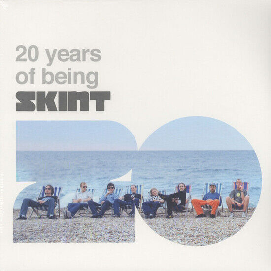 Various Artists - 20 Years of Being Skint - LP VINYL