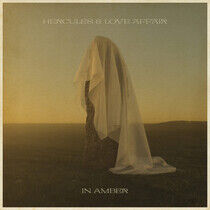 Hercules & Love Affair - In Amber - LP VINYL