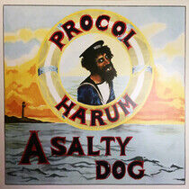 PROCOL HARUM - A SALTY DOG -HQ/REMAST- - LP