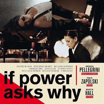 Hall, Pellegrini, Zapolski: If Power Asks Why (Vinyl)