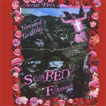 Ariel Pink: Scared Famous (2xVinyl)