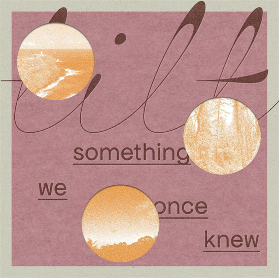 Tilt - something we once knew (Vinyl)