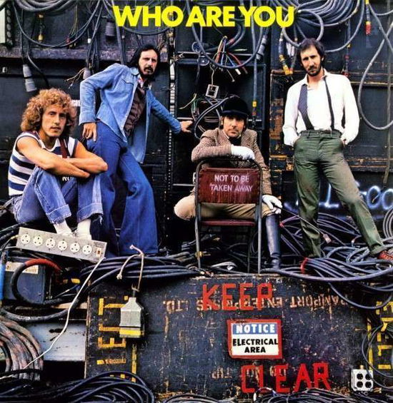 THE WHO - WHO ARE YOU (Vinyl)