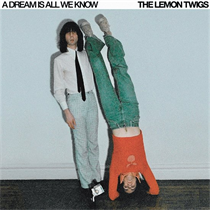 LEMON TWIGS THE - A DREAM IS ALL WE KNOW (CD)