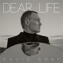 David Gray - Dear Life (Vinyl)