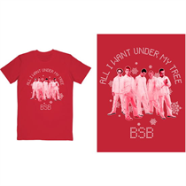 Backstreet Boys Unisex T-Shirt: All I Want Xmas (RED)