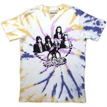 Aerosmith Unisex T-Shirt: Photo Wings (Wash Collection)