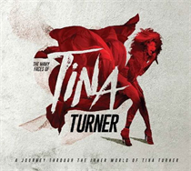 Tina Turner - Many Faces of Tina Turner  - 3xCD