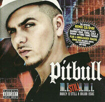 Pitbull - Money is Still A..