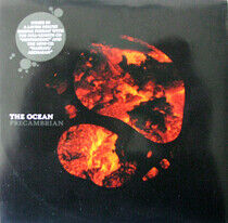 Ocean - Precambrian