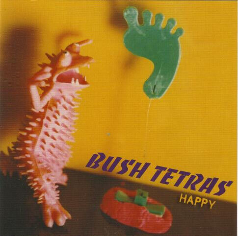 Bush Tetras - Happy