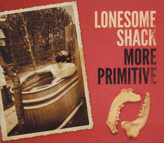 Lonesome Shack - More Primitive