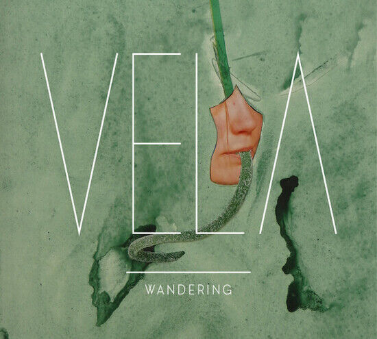 Vela - Wandering