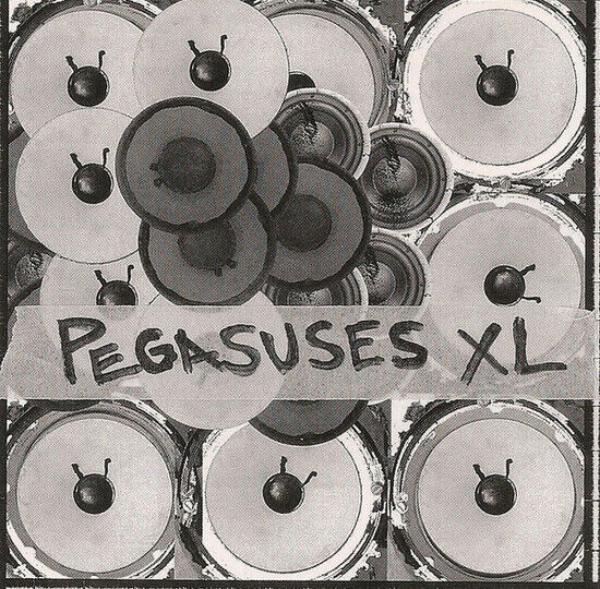 Pegasuses Xl - Electro Agitators