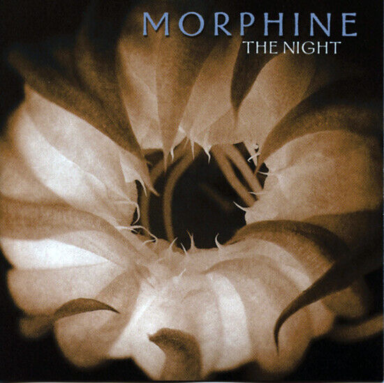 Morphine - Night