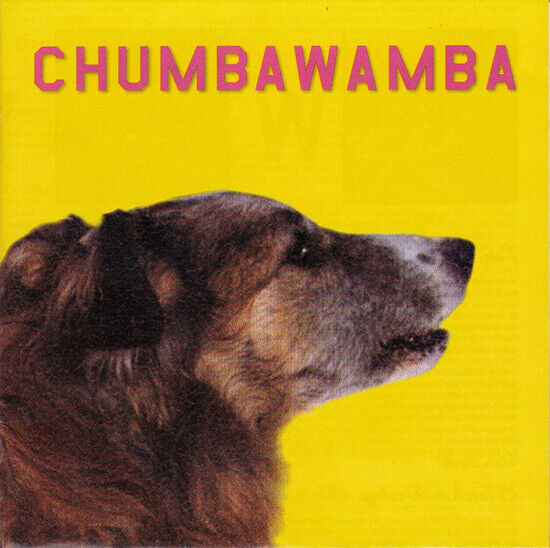 Chumbawamba - What You See is What..