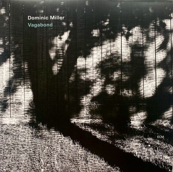 Miller, Dominic -Quartet- - Vagabond