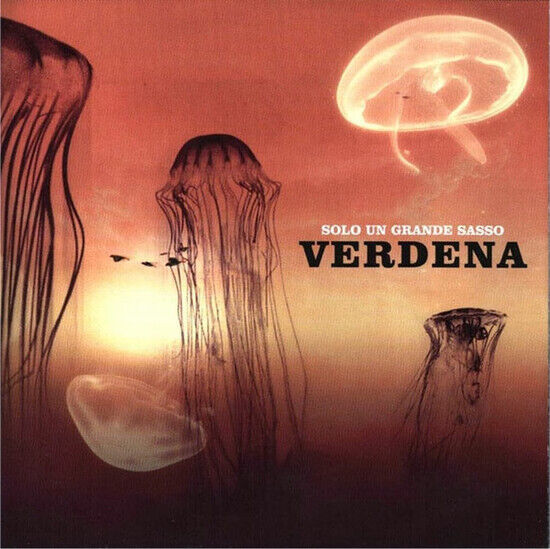 Verdena - Solo Un Grande Sasso