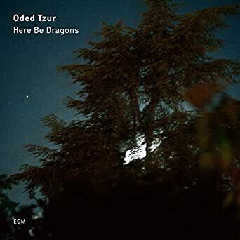 Tzur, Oded - Here Be Dragons