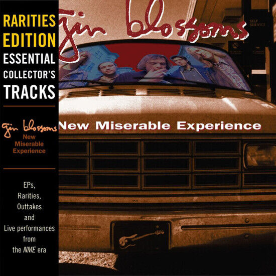 Gin Blossoms - New Miserable Experience