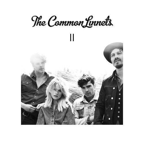 Common Linnets - Ii