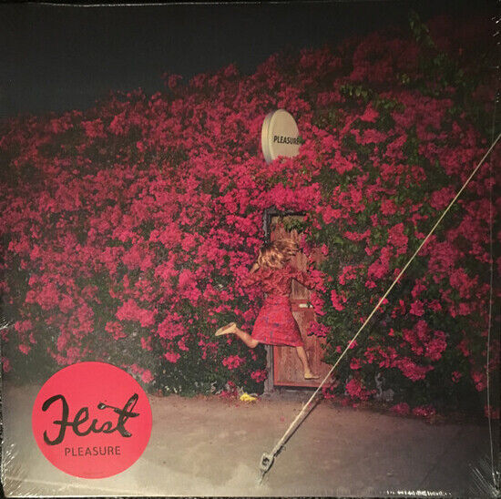 Feist - Pleasure