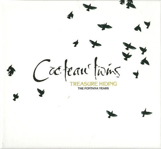 Cocteau Twins - Treasure Hiding: the..