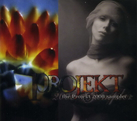 V/A - Projekt Sampler 2008