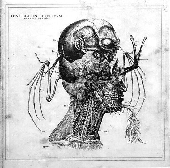 Tenebrae In Perpetuum - Anorexia Obscura -Digi-