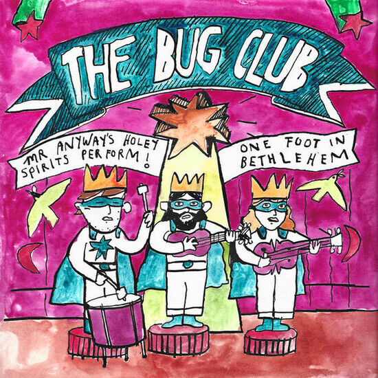Bug Club - Mr Anyway\'s Holey..