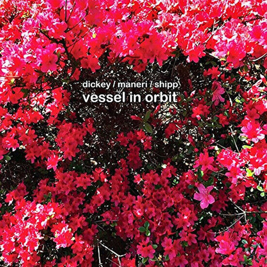 Shipp, Matthew - Vessel In Orbit