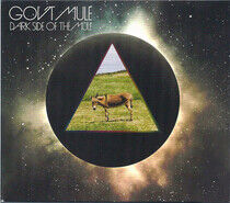 Gov't Mule - Dark Side of the Mule