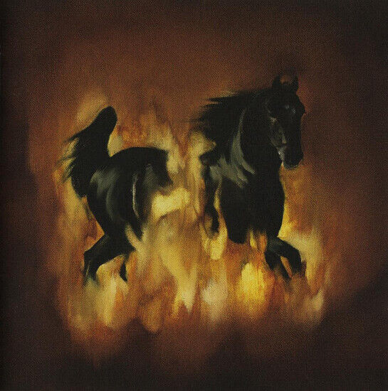 Besnard Lakes - Are the Dark Horse