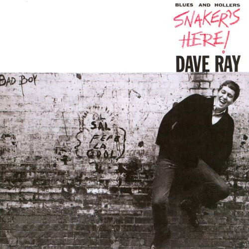 Ray, Dave - Snaker\'s Here