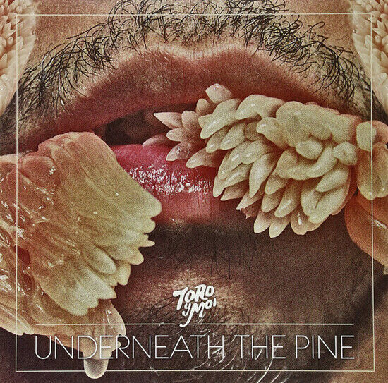 Toro Y Moi - Underneath the Pine