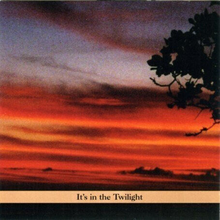 Shapiro, Paul - It\'s In the Twilight