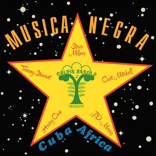 Stevo - Musica Negra