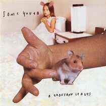 Sonic Youth - A Thousand Leaves