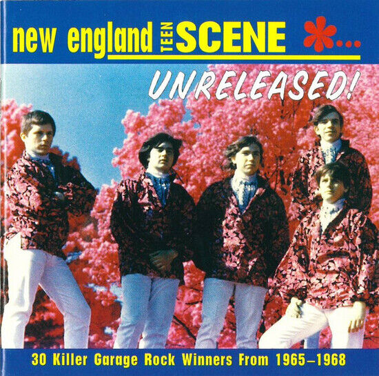 V/A - New England Teen Scene