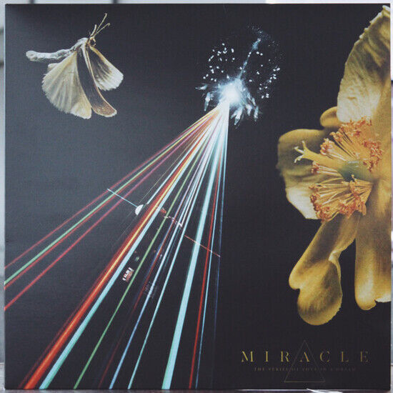 Miracle - Strife of Love In a Dream